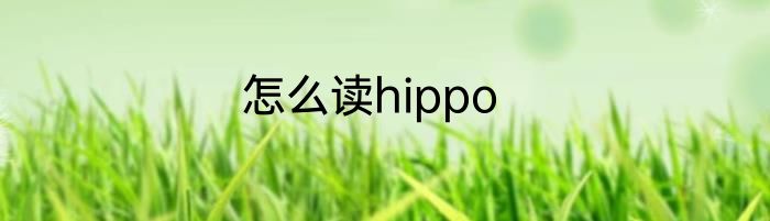 怎么读hippo