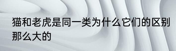 猫和老虎是同一类为什么它们的区别那么大的