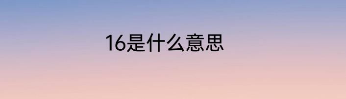 16是什么意思