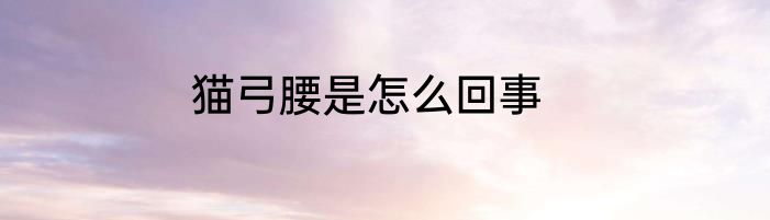 猫弓腰是怎么回事