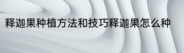 释迦果种植方法和技巧释迦果怎么种