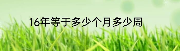 16年等于多少个月多少周