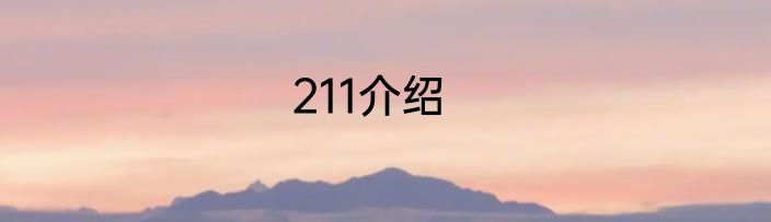 211介绍