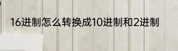 16进制怎么转换成10进制和2进制