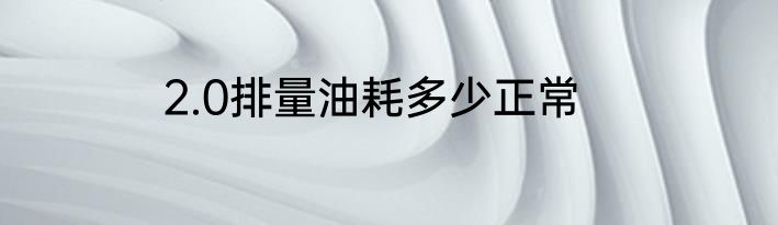 2.0排量油耗多少正常