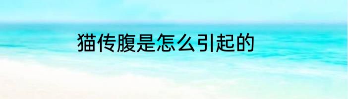 猫传腹是怎么引起的