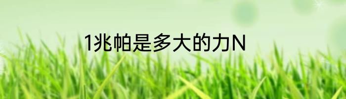 1兆帕是多大的力N