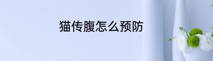 猫传腹怎么预防