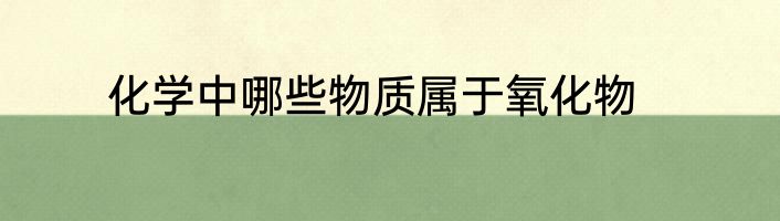化学中哪些物质属于氧化物
