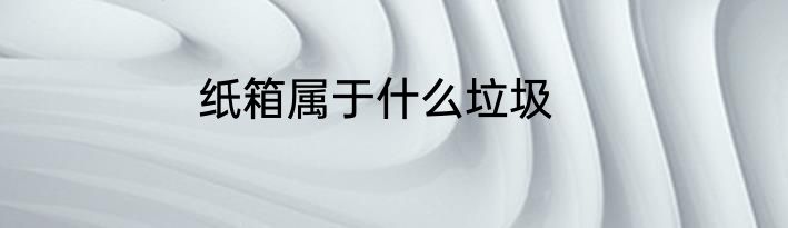 纸箱属于什么垃圾