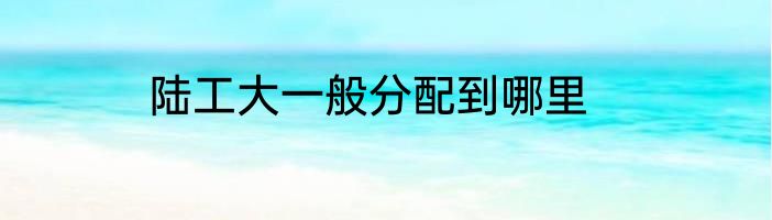 陆工大一般分配到哪里