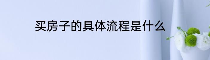 买房子的具体流程是什么