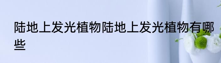 陆地上发光植物陆地上发光植物有哪些