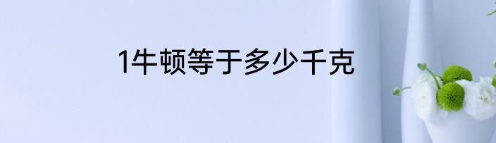 1牛顿等于多少千克