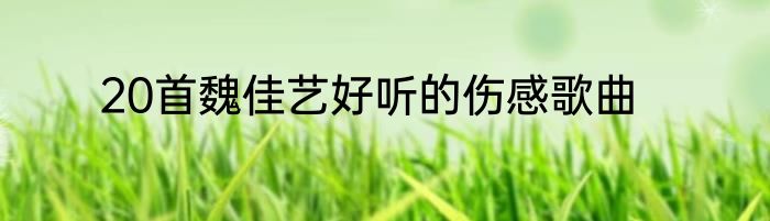 20首魏佳艺好听的伤感歌曲