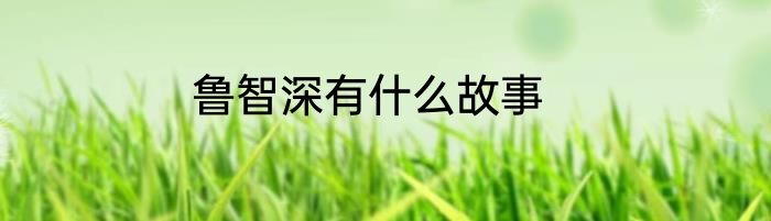 鲁智深有什么故事