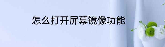 怎么打开屏幕镜像功能