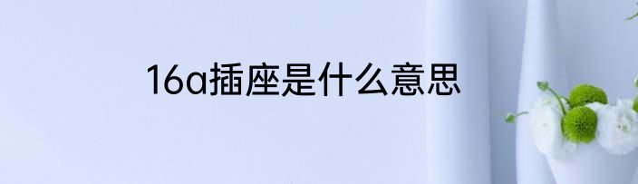 16a插座是什么意思