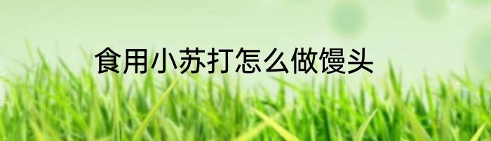 食用小苏打怎么做馒头