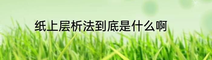 纸上层析法到底是什么啊