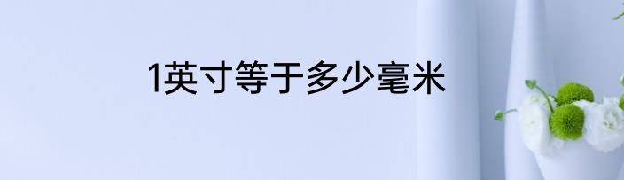 1英寸等于多少毫米