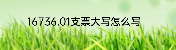 16736.01支票大写怎么写