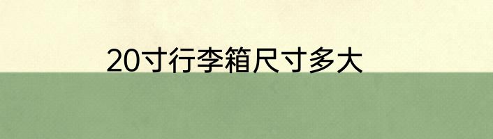 20寸行李箱尺寸多大