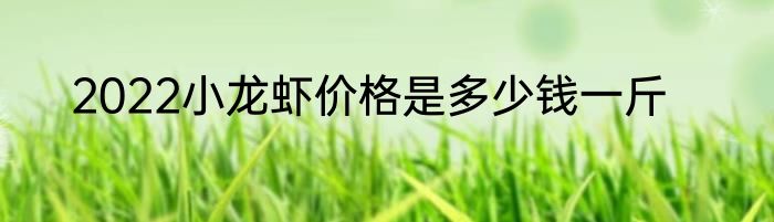 2022小龙虾价格是多少钱一斤