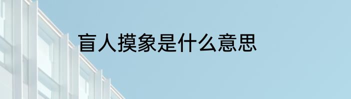 盲人摸象是什么意思