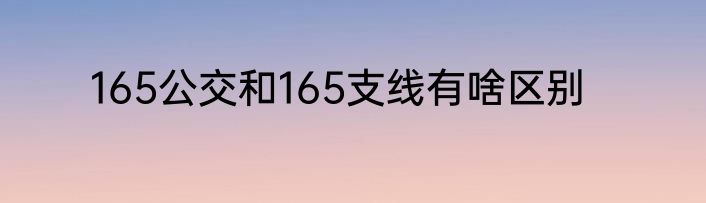 165公交和165支线有啥区别