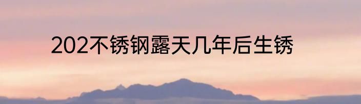 202不锈钢露天几年后生锈