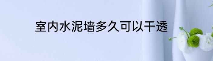 室内水泥墙多久可以干透