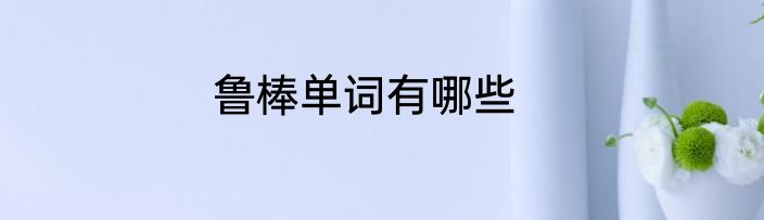鲁棒单词有哪些