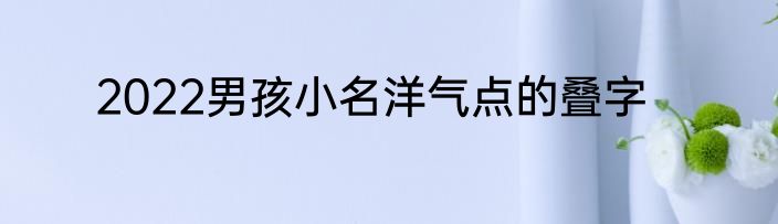 2022男孩小名洋气点的叠字