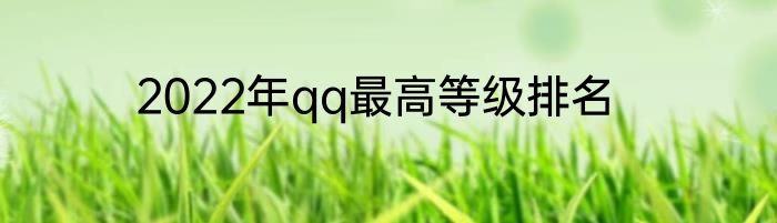 2022年qq最高等级排名