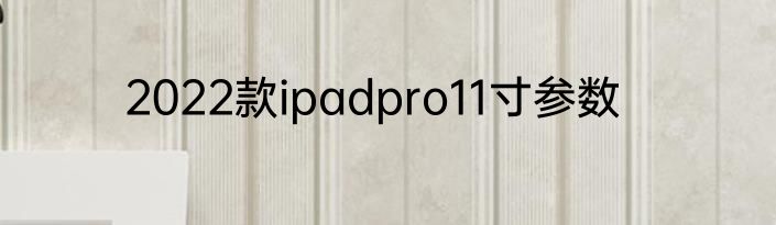 2022款ipadpro11寸参数