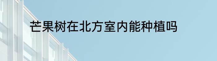 芒果树在北方室内能种植吗