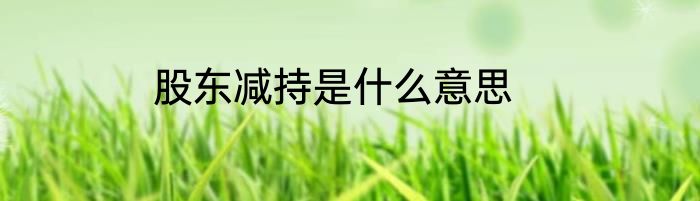 股东减持是什么意思