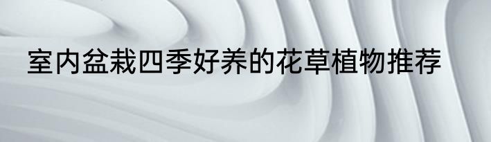 室内盆栽四季好养的花草植物推荐