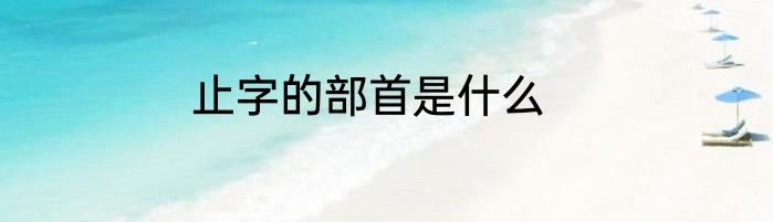 止字的部首是什么
