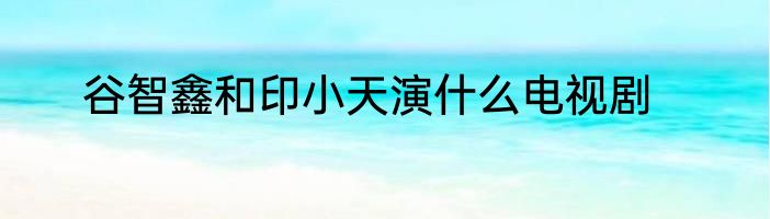 谷智鑫和印小天演什么电视剧