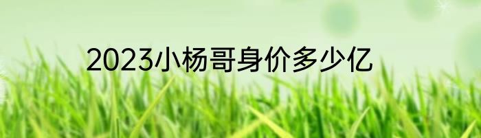 2023小杨哥身价多少亿