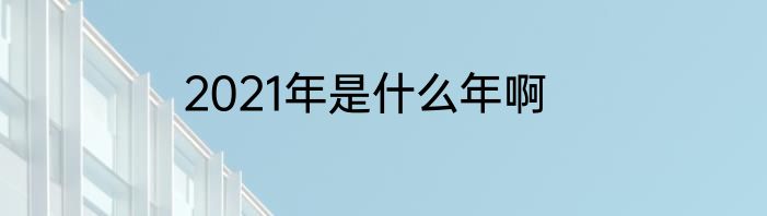 2021年是什么年啊