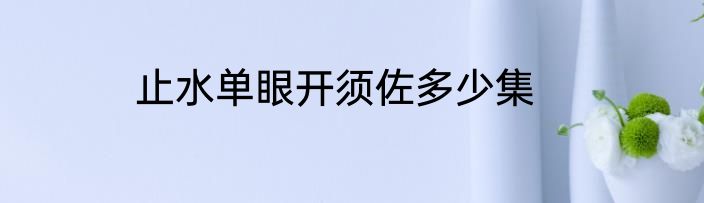 止水单眼开须佐多少集