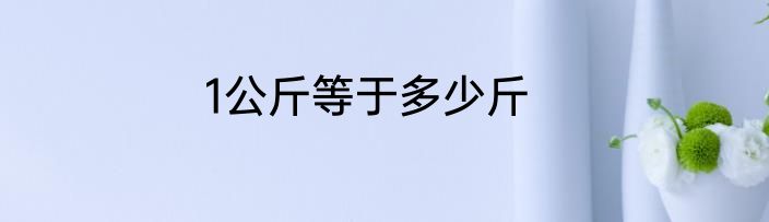 1公斤等于多少斤