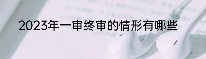 2023年一审终审的情形有哪些