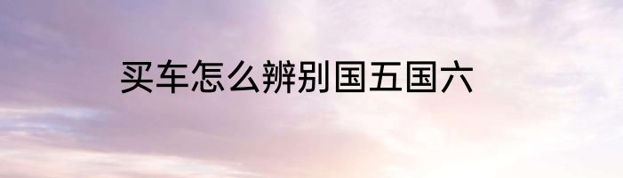 买车怎么辨别国五国六