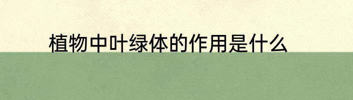 植物中叶绿体的作用是什么