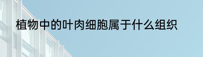 植物中的叶肉细胞属于什么组织