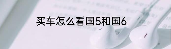 买车怎么看国5和国6